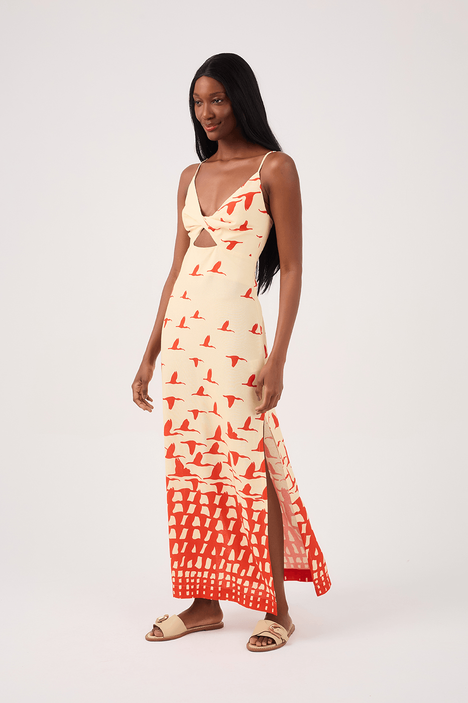 Guarás Print Linen Midi Dress