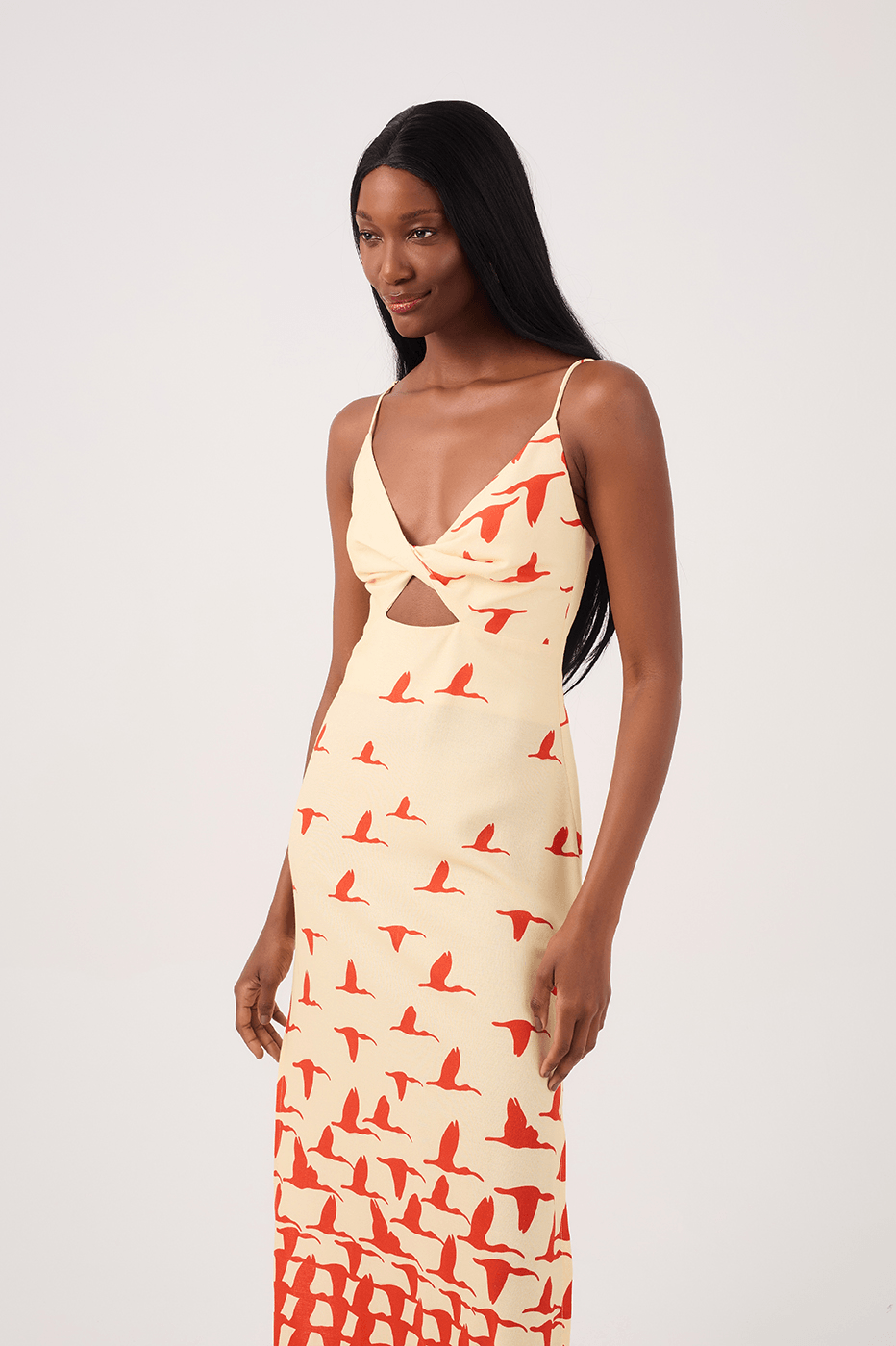 Guarás Print Linen Midi Dress_3