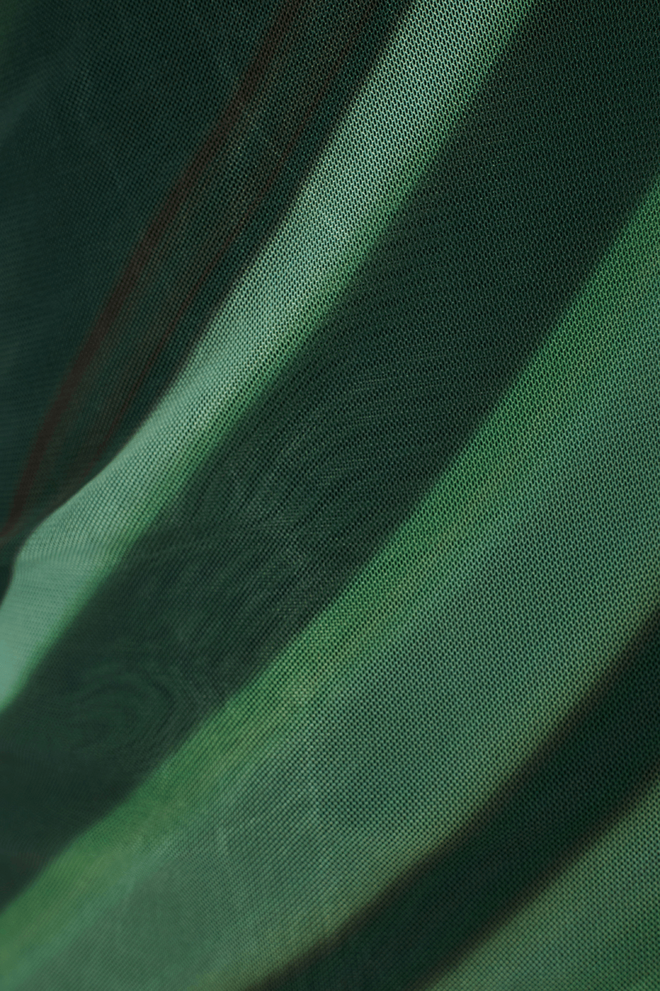 Green Floresta Ruched Tulle Maxi Dress_7