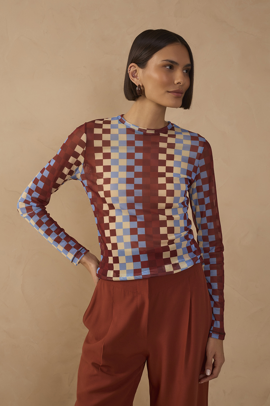 Multicolor Crew Neck Mesh Blouse_1