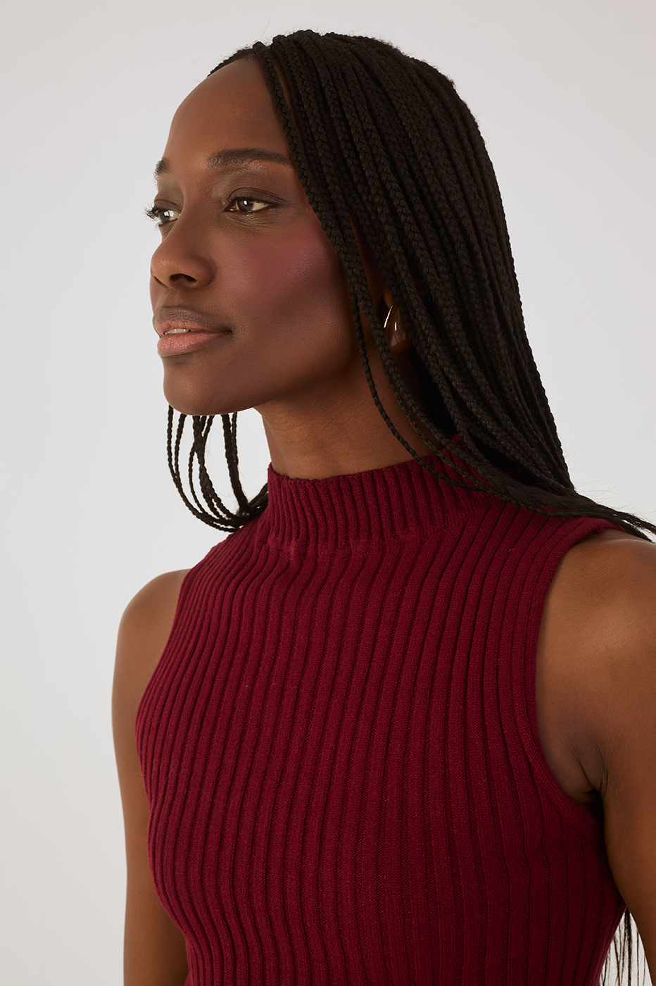 Wine Bossa Ribbed Sleeveless Turtleneck_4