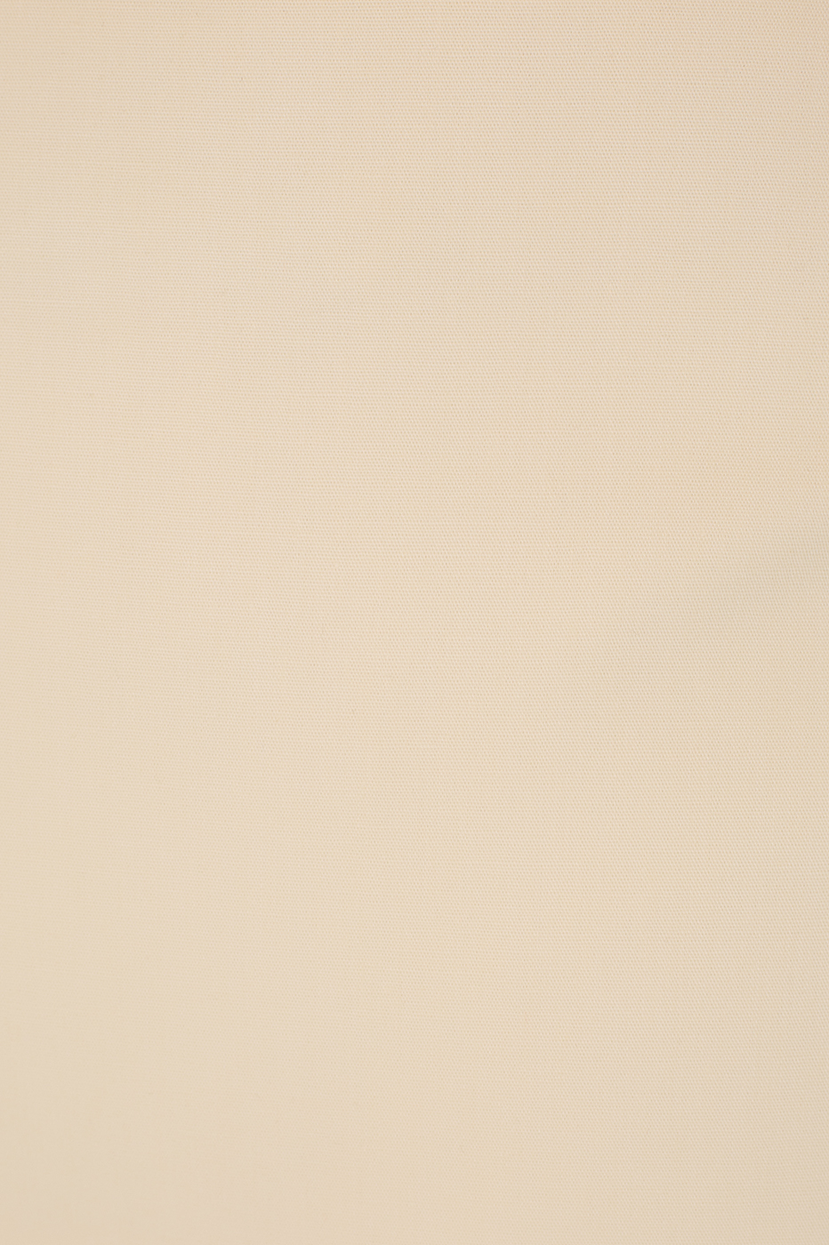 Corset Tailored Top_5