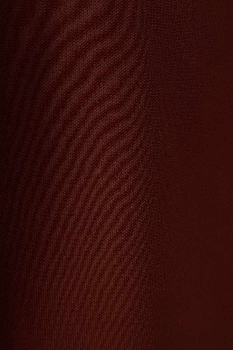 Brown Embroidered Buttoned Polo Shirt_6