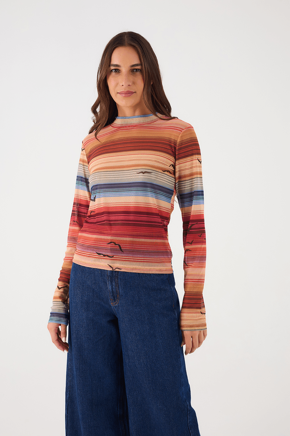 Multicolor Arpoador Boat Neck Long Sleeve Tulle Blouse_3