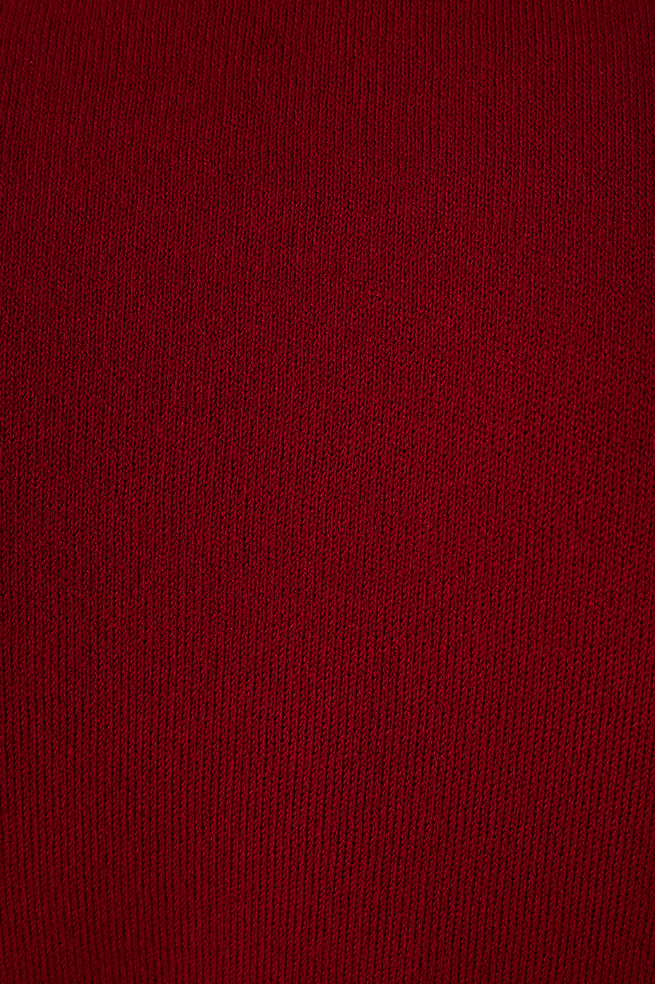 Red Encanto Smocked High Neck Sleeveless Tricot Blouse_6