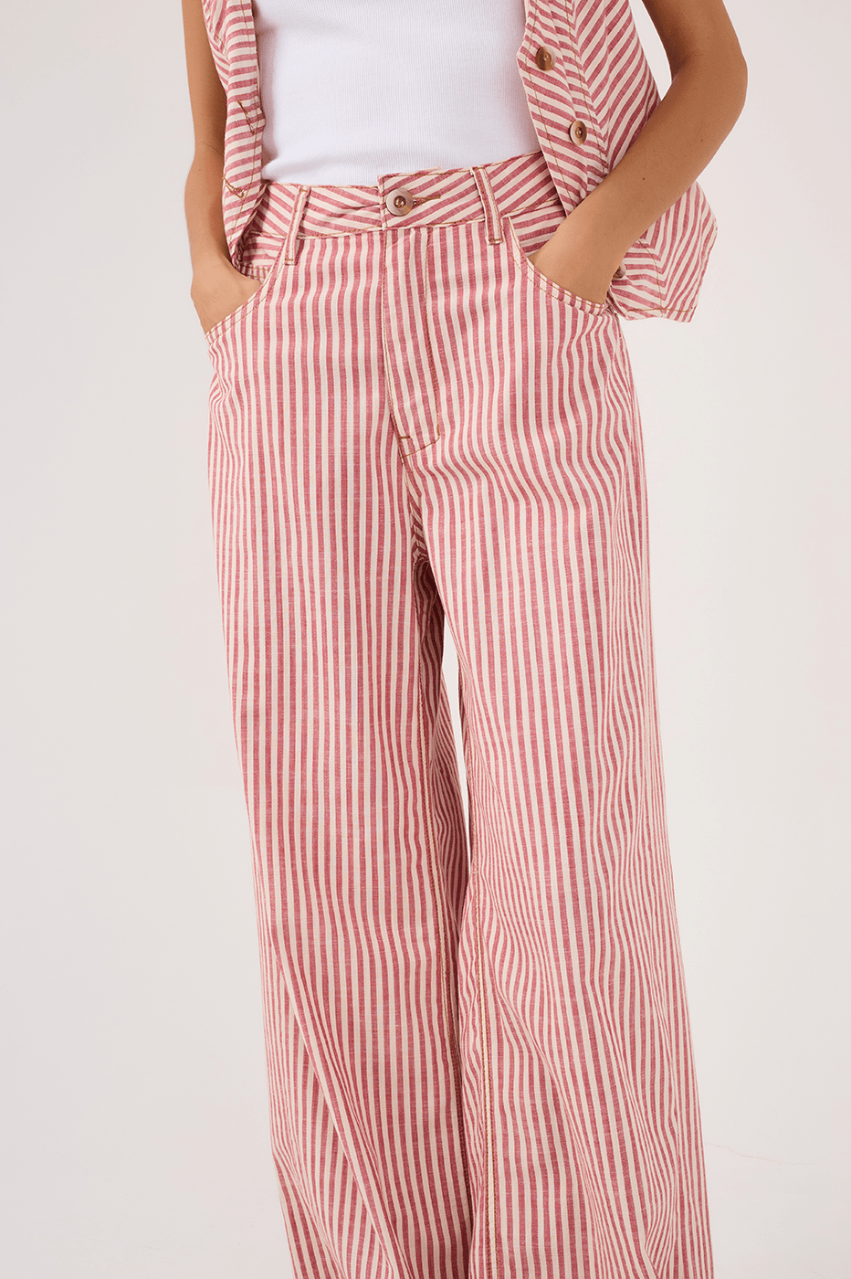 Guará Stripe Twill Pants_4