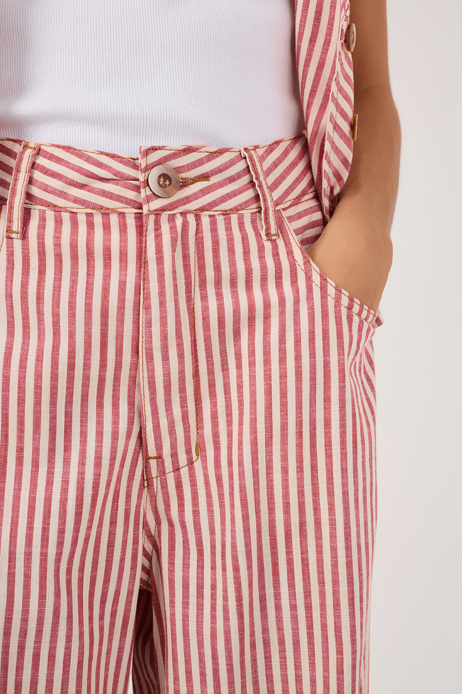 Guará Stripe Twill Pants_5