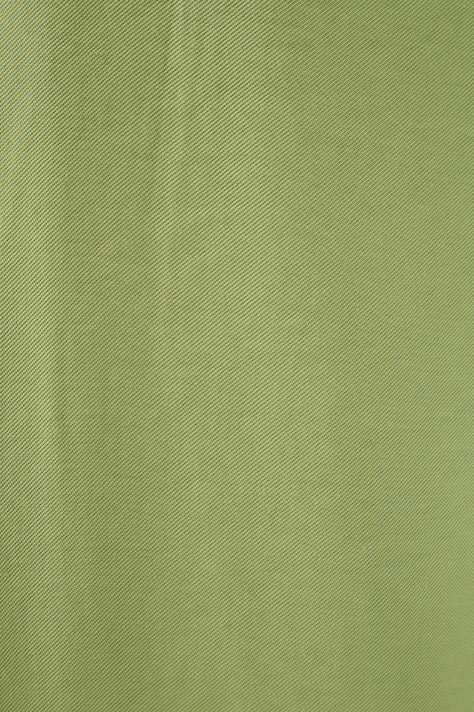 Front-Pleat Wide-Leg Pants
