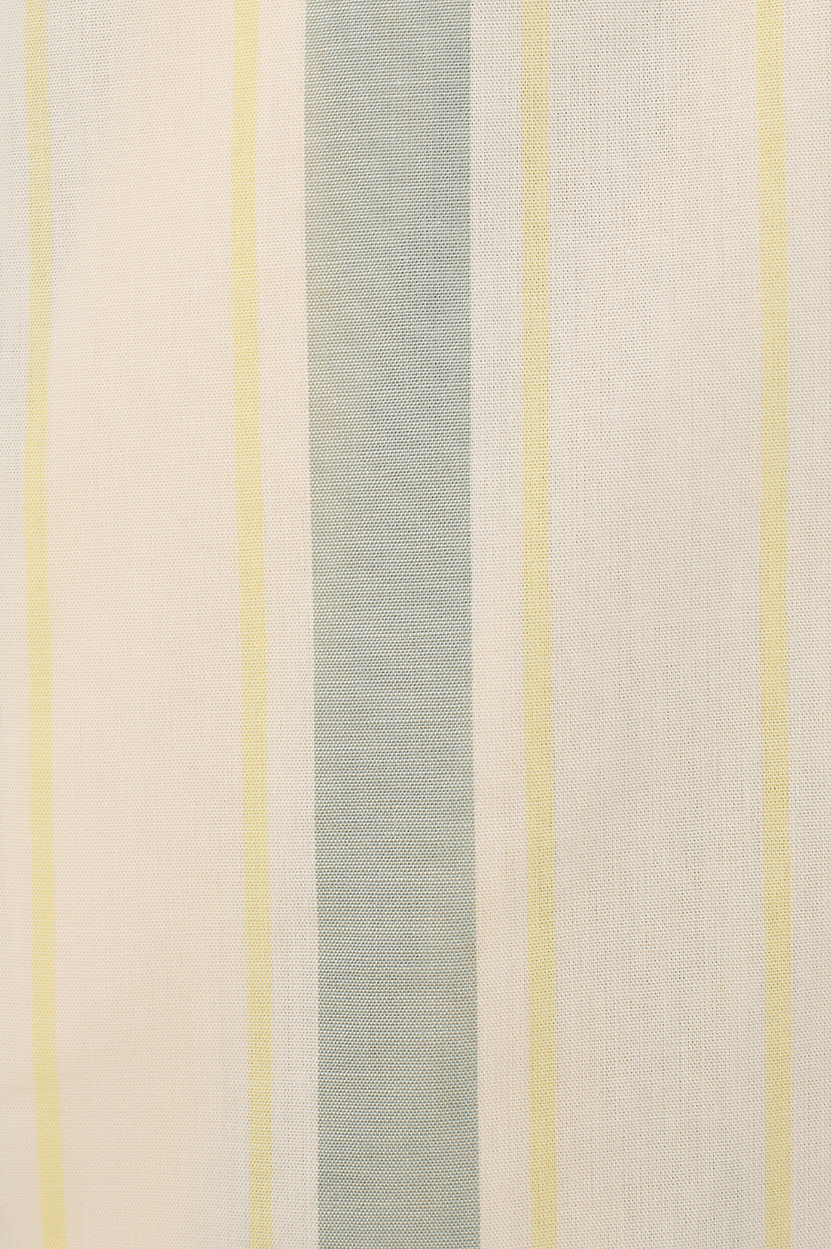 Ostra Stripe Print Shorts_6