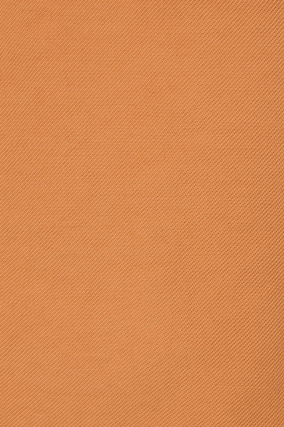 Tailored Pleats Bermuda