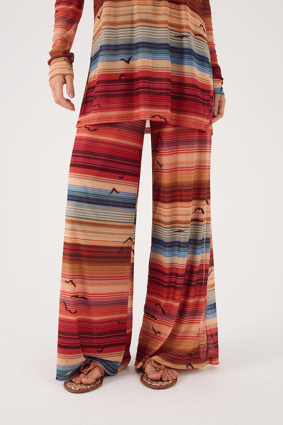 Multicolor Arpoador Tulle Maxi Blouse And Pants Matching Set_5