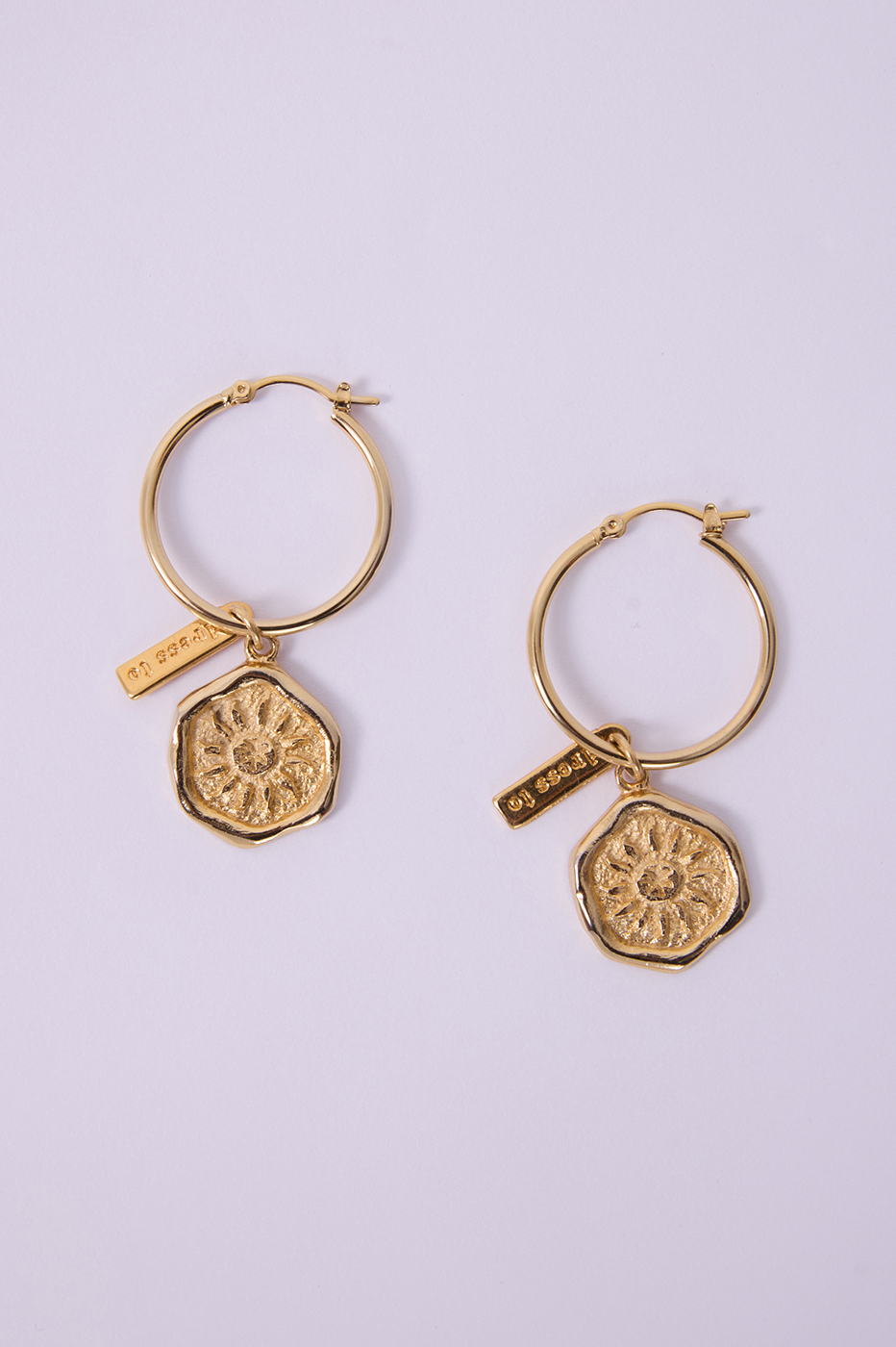 Golden Hoop Pendant Earrings_5