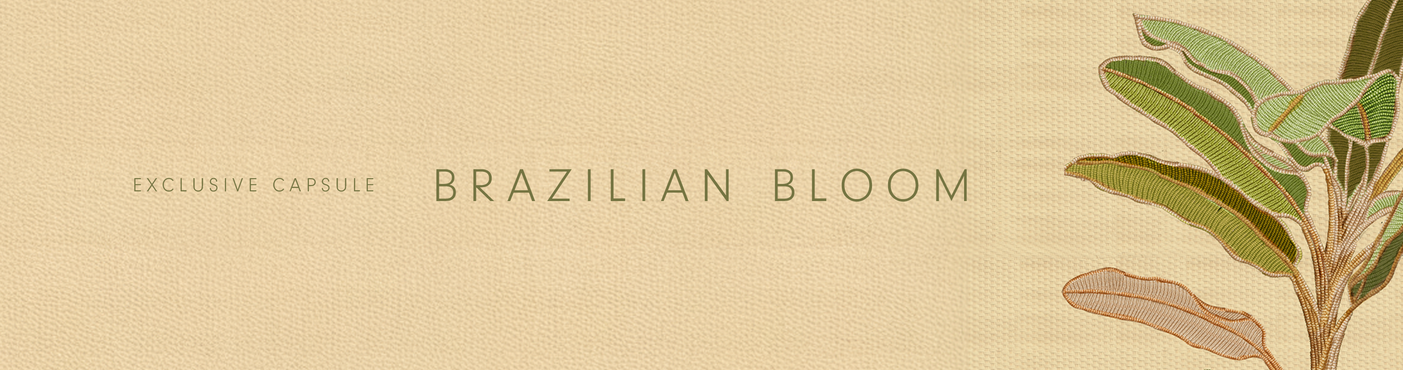 A wide banner graphic on a beige textured background. Text reads "EXCLUSIVE CAPSULE" and "BRAZILIAN BLOOM", with an illustration of green and brown leaves to the right.